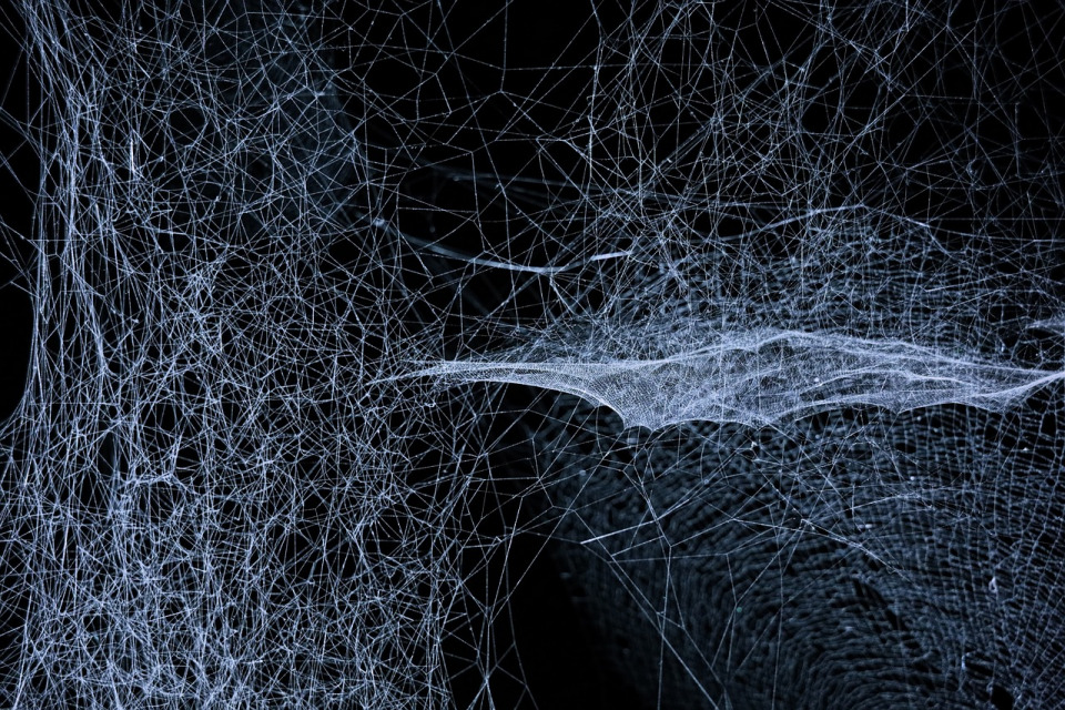 fintech abstract network